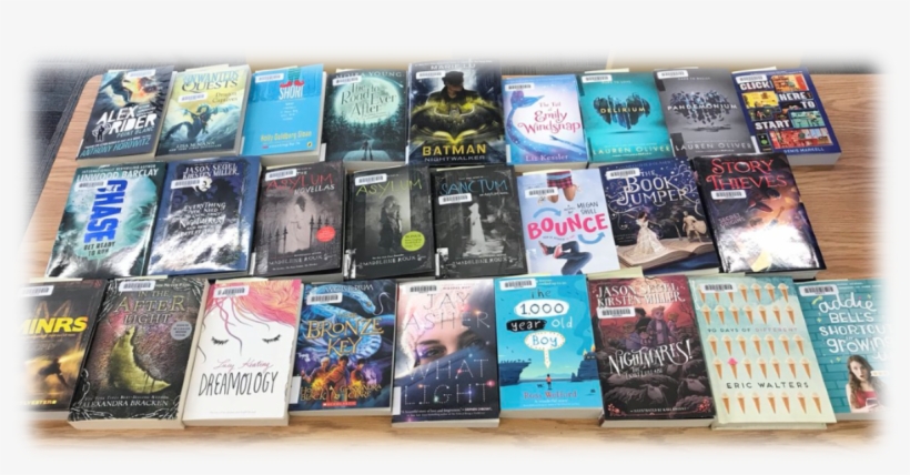 Book - Grant - Magisterium - Collection - Bmi Bound, transparent png download