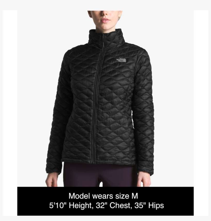 The North Face Women's Thermoball Jacket In At Massey's - The North Face Women's Thermoball, transparent png download
