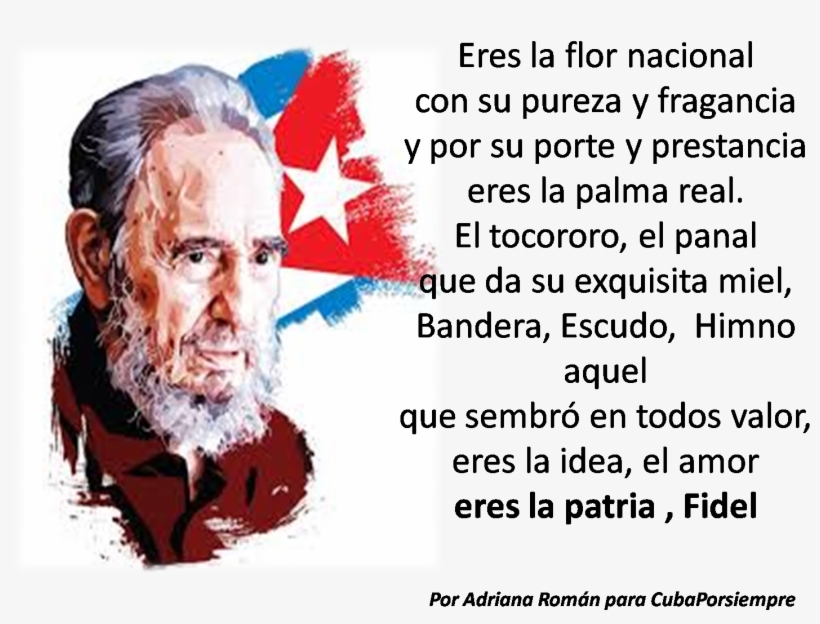 Por Adriana Román* - Fidel Castro, transparent png download