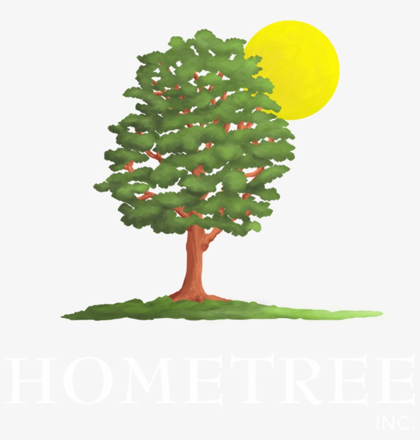 Visit - Christmas Tree, transparent png download