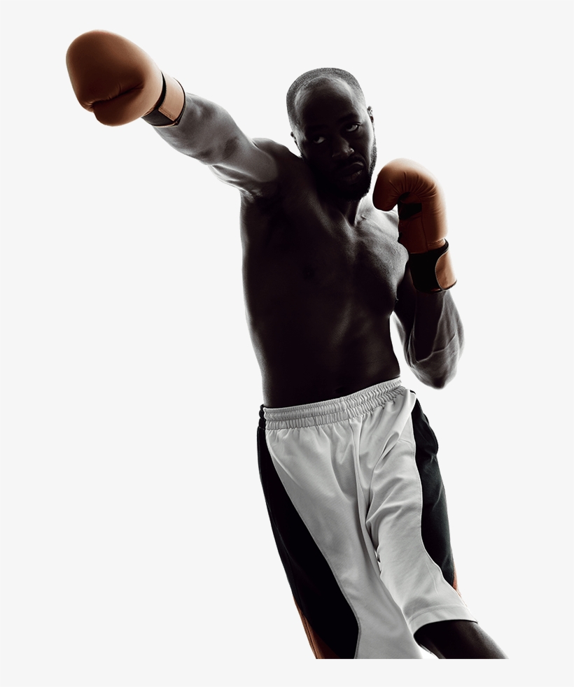 Hire Us To Appear In Court - Boxing, transparent png download