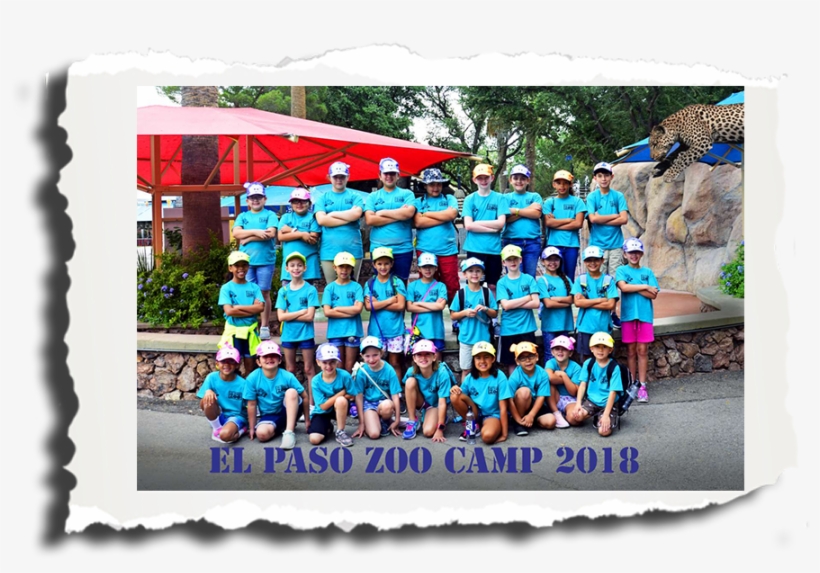 El Paso Zoological Society Zoo Camp - El Paso Zoological Society, transparent png download