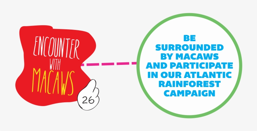 Is Surrounded By Macaws, Being Able To Experience The - Graphic Design, transparent png download