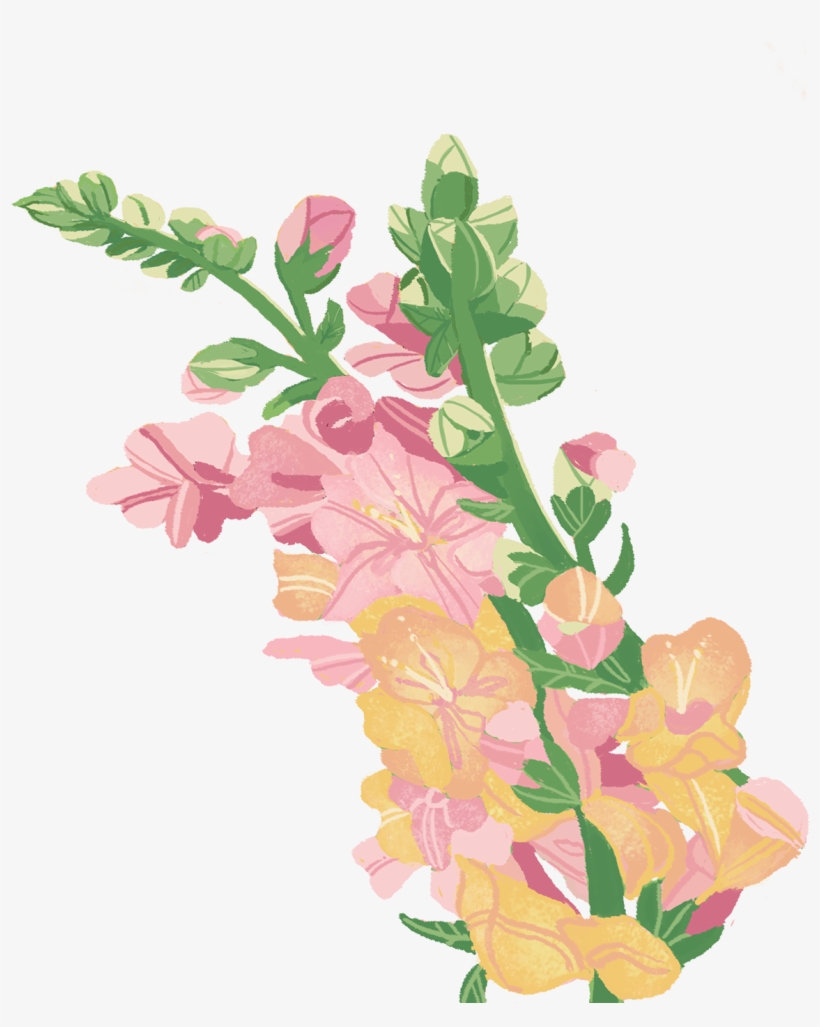 A Study Of My Begonia Plant - Artificial Flower, transparent png download