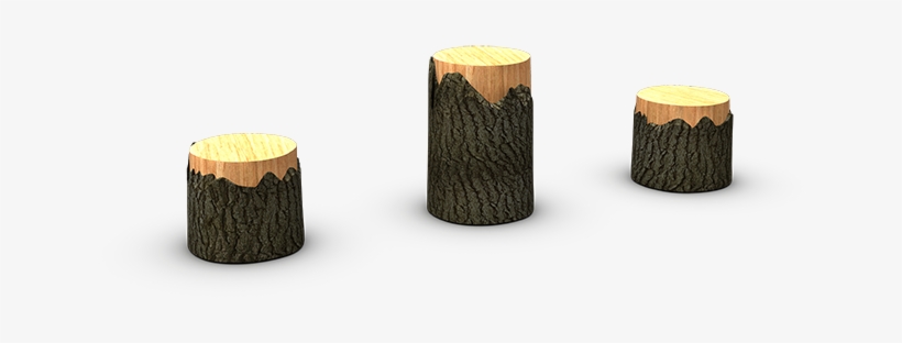 Pack Up Your Hiking Gear And Take-off To A More Natural - Tree Stumps Set Of 3 Playful - Bark-502 - Pet Supplies, transparent png download