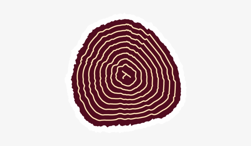 Tree Stump - Circle, transparent png download