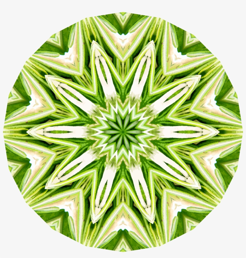 This Free Icons Png Design Of Rosemary Kaleidoscope, transparent png download