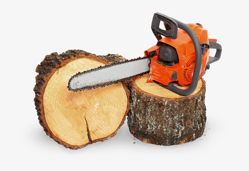 Chain Saw - Chainsaw, transparent png download