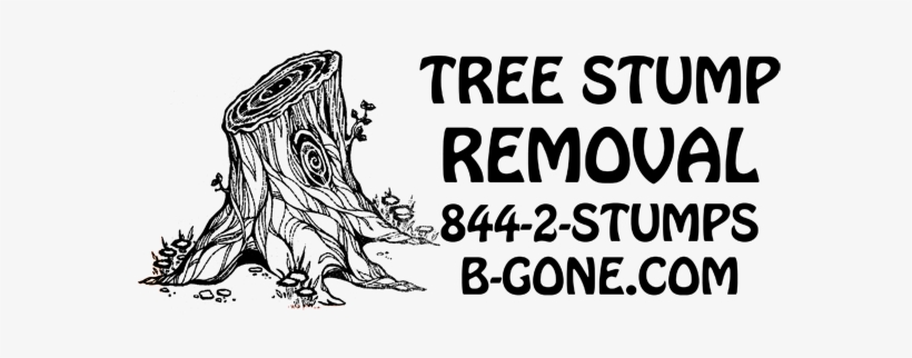Tree Stump Removal North Carolina East Coast Usa - Wyco Products Tonight I Want, transparent png download