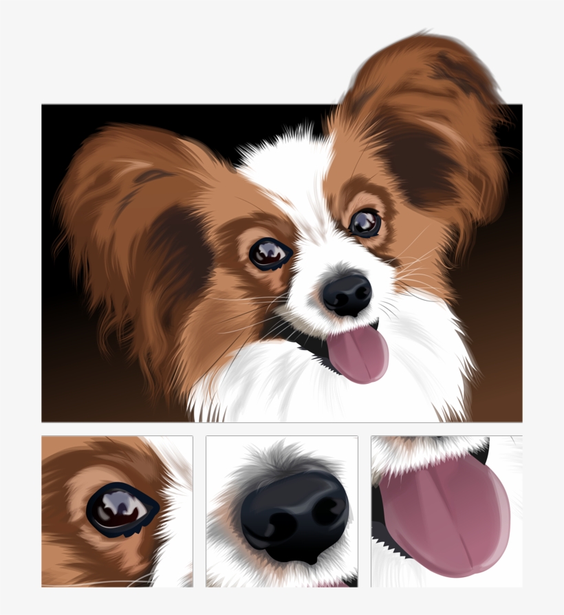 Papillon - Best Gift - Figure Continental Toy Spaniel Type Papillon, transparent png download