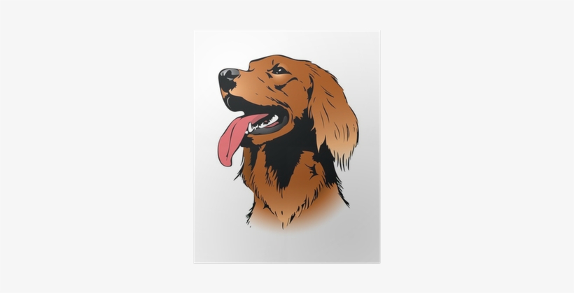 Irish Setter Dog - Storm: A Dog's Quest, transparent png download