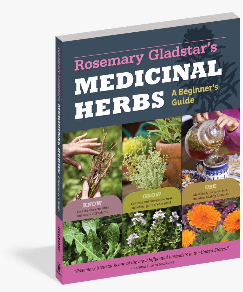 Rosemary Gladstar's Medicinal Herbs - Medicinal Herbs Rosemary Gladstars, transparent png download