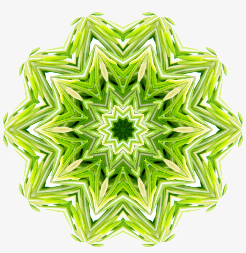 This Free Icons Png Design Of Rosemary Kaleidoscope, transparent png download