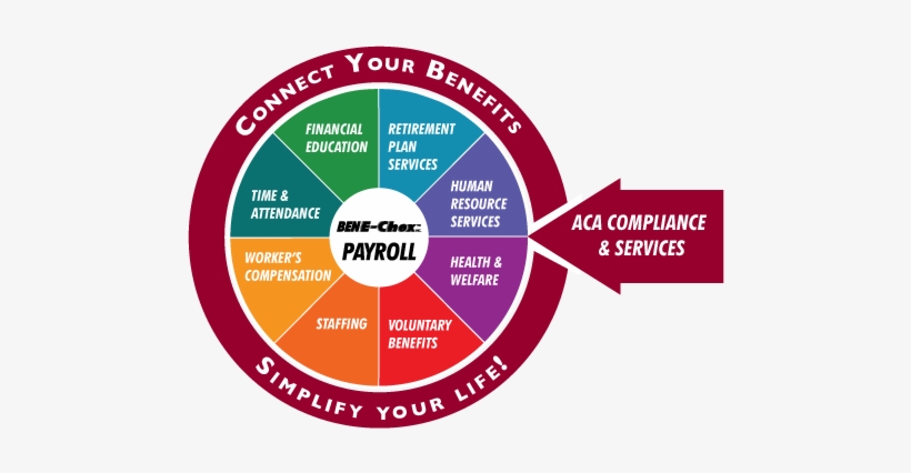 Connect & Simplify - Cubs, transparent png download