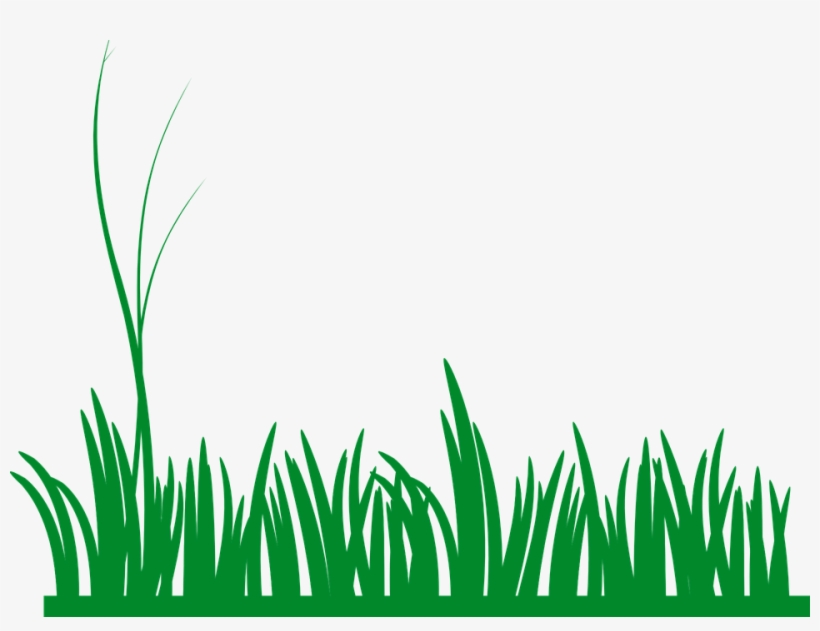 Shapes Clipart Grass - Grass Clip Art, transparent png download