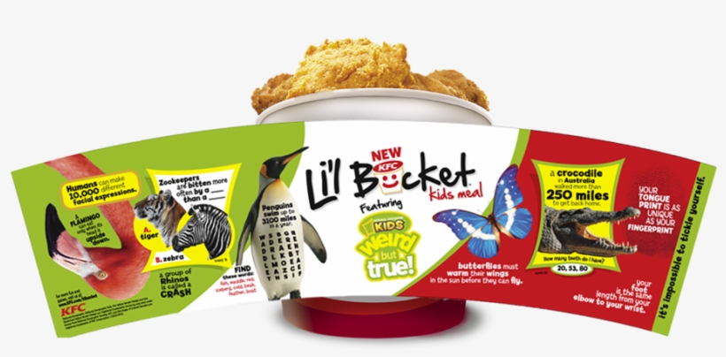 Kfc/national Geographics Lil' Bucket - Kids Bucket Kfc, transparent png download