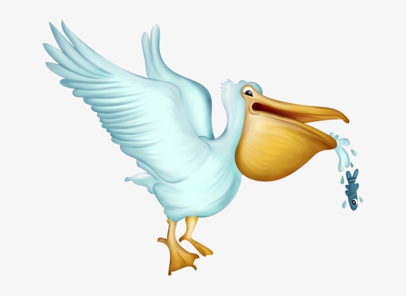 Pelican Png Photos - Portable Network Graphics, transparent png download