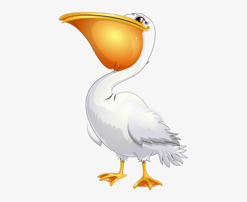 Pelican Cartoon Png, transparent png download