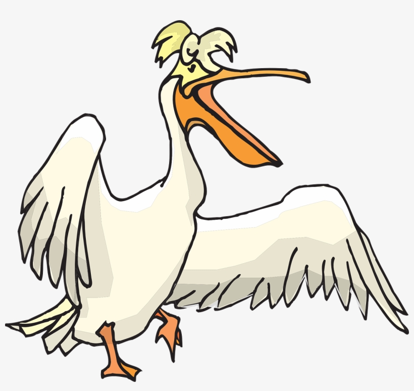 Pelican Clipart Png, transparent png download