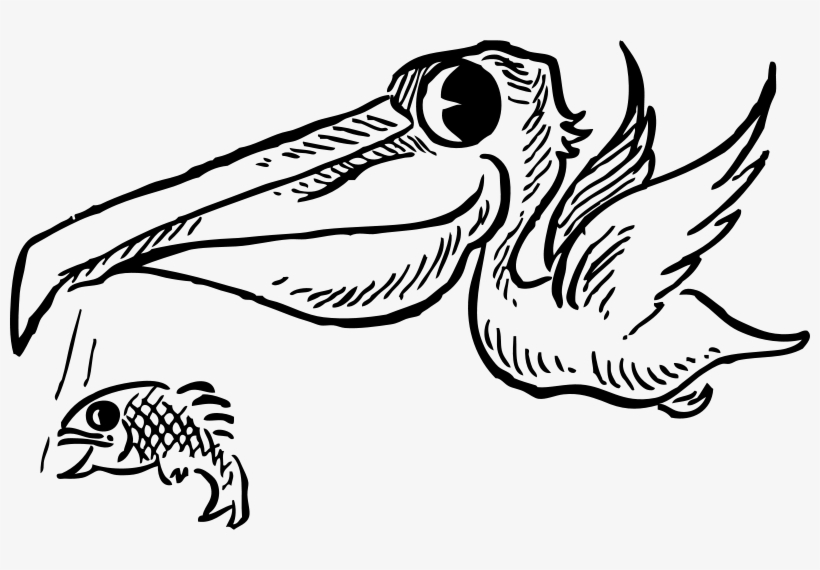 Free Pelican With Fish - Cartoon Pelican, transparent png download