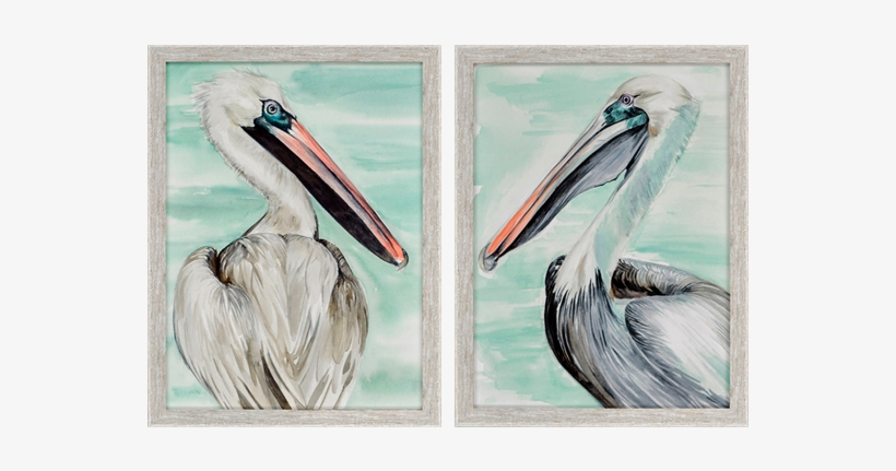 Turquoise Pelican Pk/2 - Pk, transparent png download
