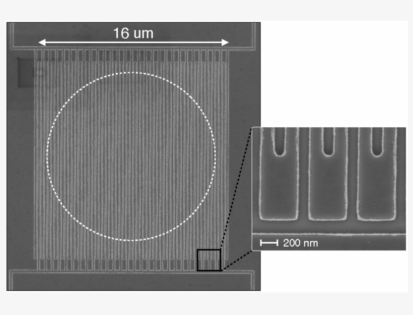 The Dashed Circle Shows Where The Photons Are Absorbed, - Superconducting Nanowire Single-photon Detector, transparent png download