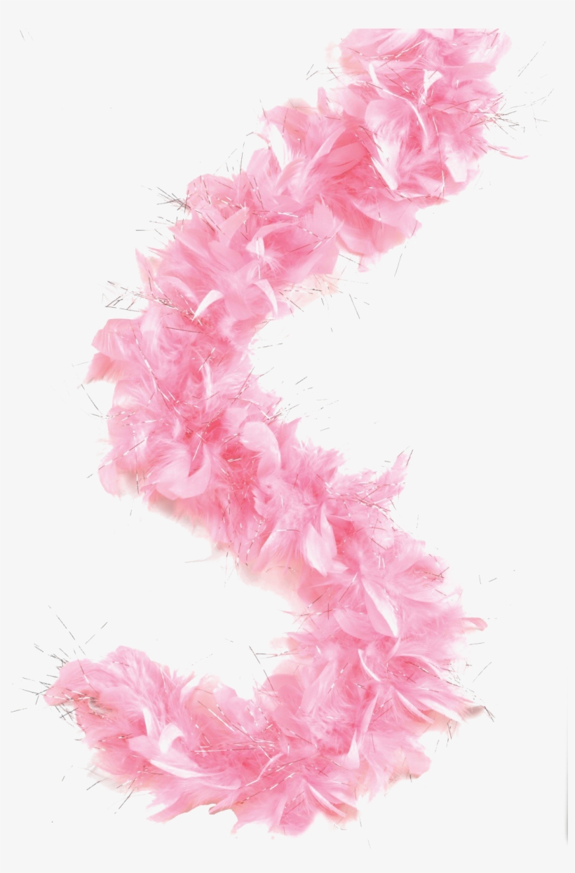 Feather Boa Png Picture - Pink Feather Boa Clipart, transparent png download
