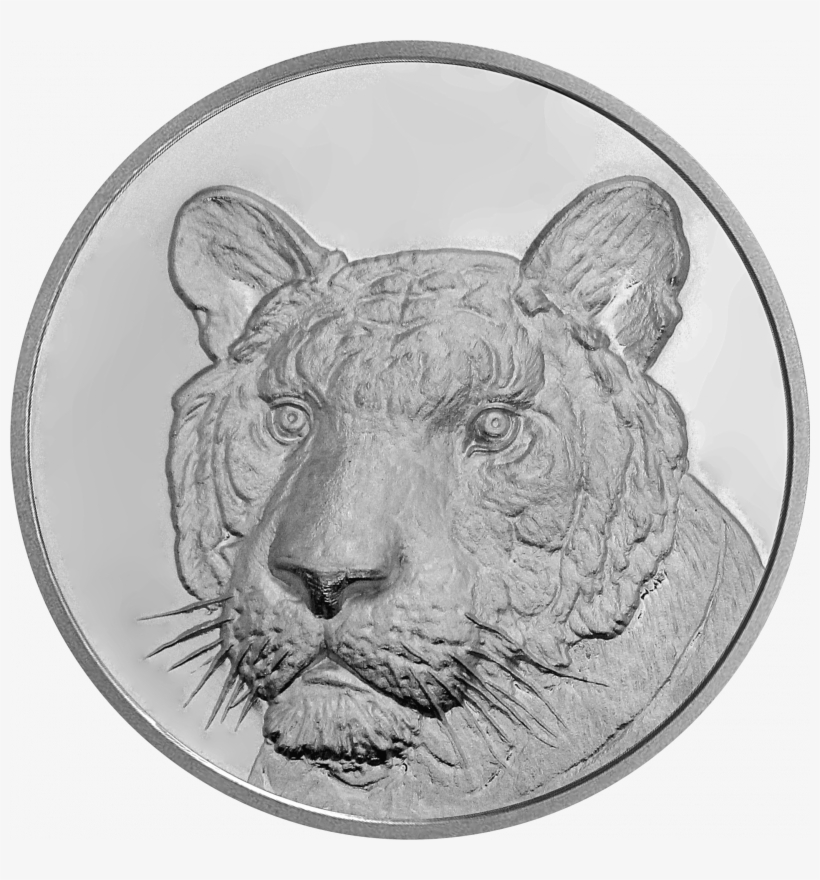 More Views - Silver, transparent png download