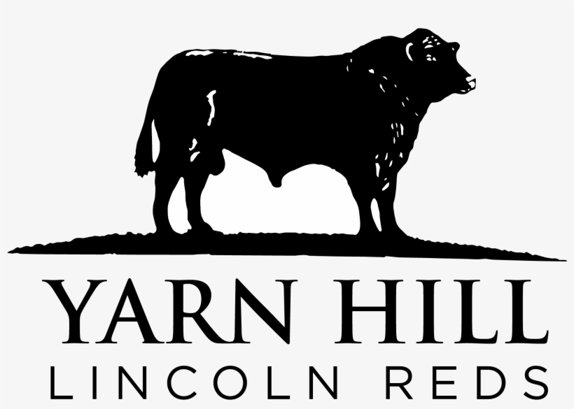 Logo - Bull, transparent png download