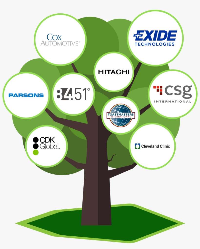 Section 7-family Tree - Tree, transparent png download