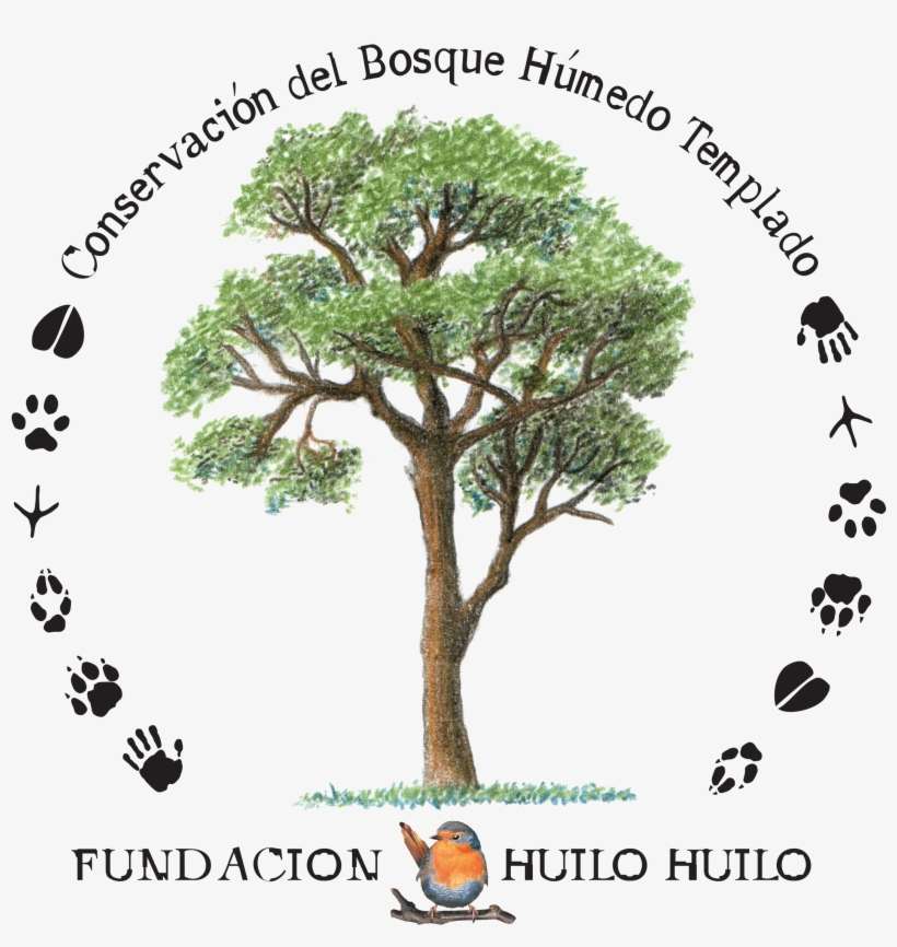 21 Feb 2017 - Huilo Huilo, transparent png download