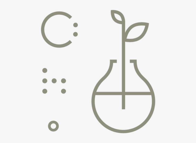 H A P P E N N G - Violin, transparent png download