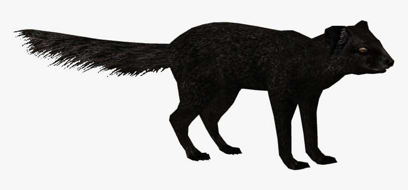 Black Mongoose, transparent png download