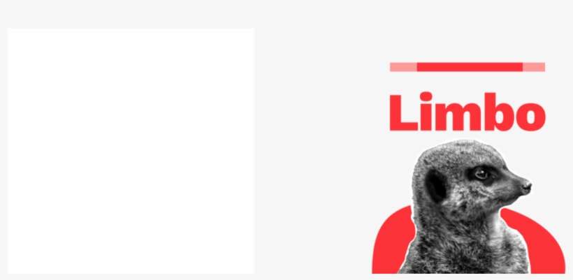 Meerkat, transparent png download