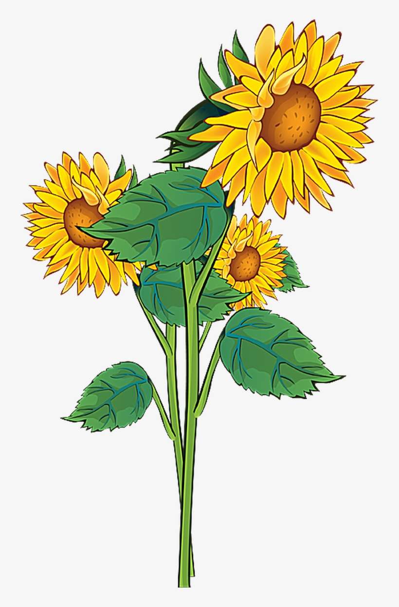Summer Flowers Clipart At Getdrawings - Sunflower Flower Clipart, transparent png download