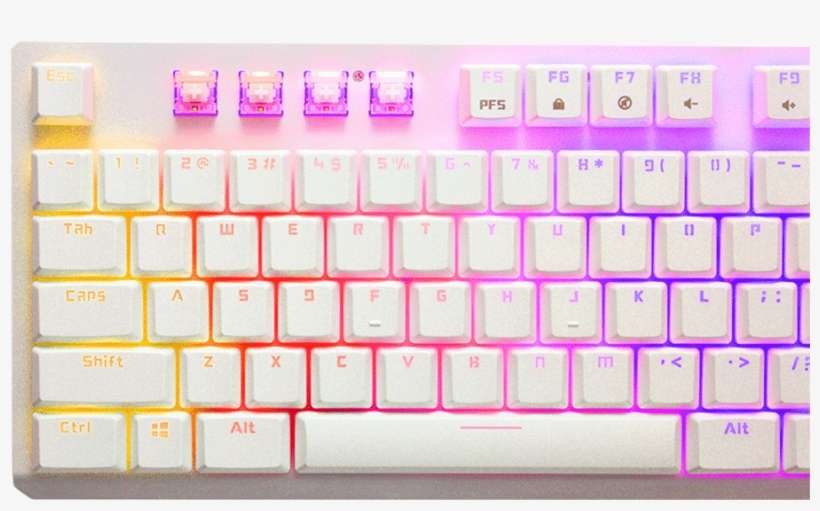 The Gram Spectrum Has You Covered When It Comes To - Latest Trend In Computer Technology, transparent png download