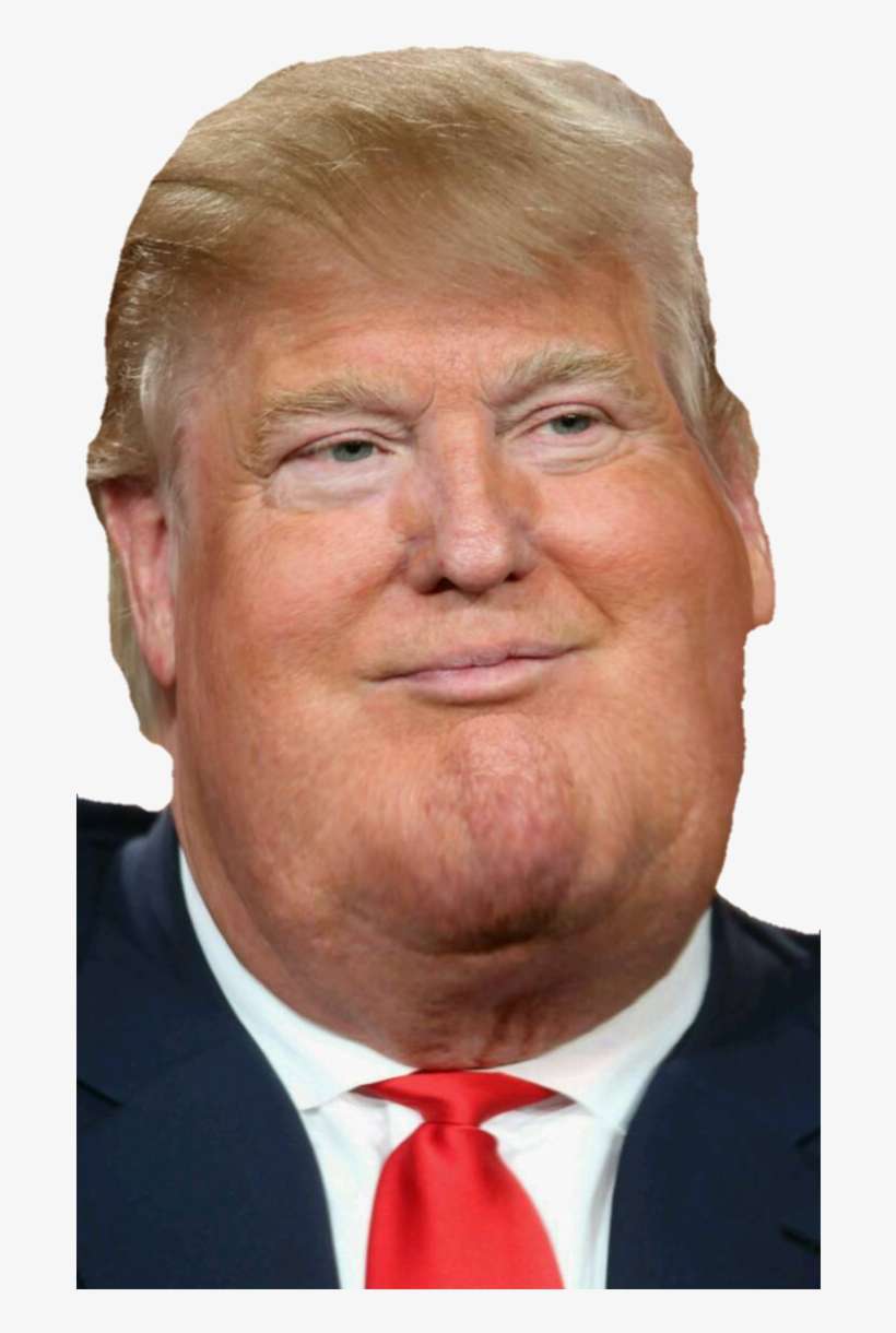 Afbeeldingsresultaat Voor Donald Trump Fat Sarcasm, - Donald Trump Fat Face, transparent png download