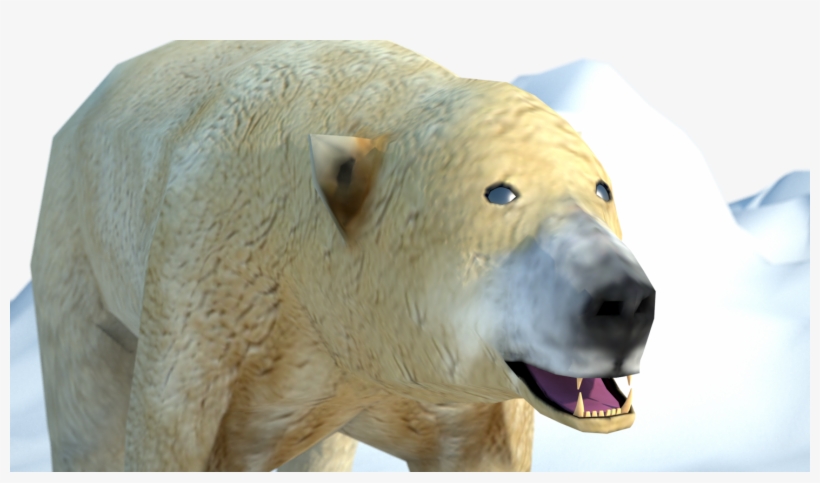 5 - Polar Bear, transparent png download