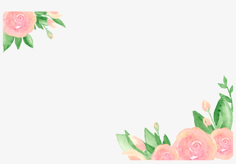 Peach Flower Transparent - Tulip, transparent png download