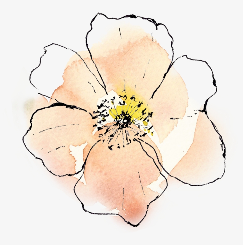 Peach & Orange Centre Flower - Orange Center, transparent png download