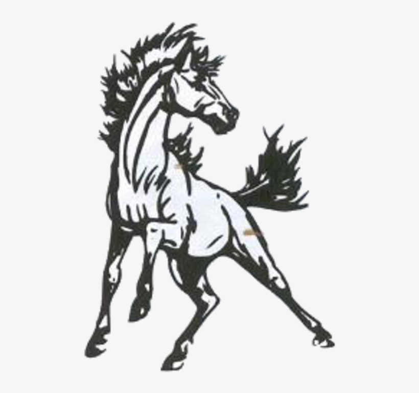 Mcdonald County High School Mustang, transparent png download