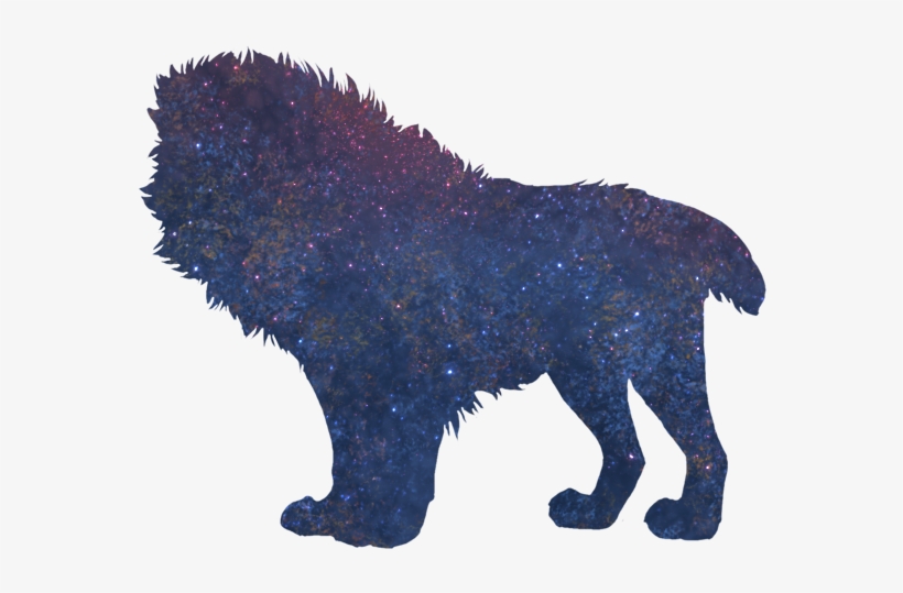 Lion, transparent png download