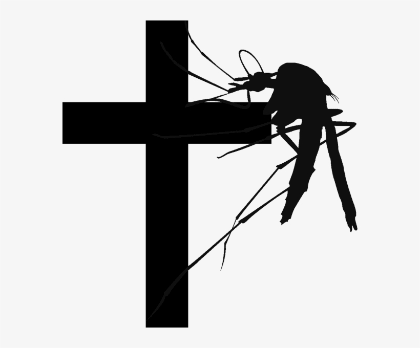 In February, A Survivalist Group Announced Plans To - Stop Dengue, transparent png download