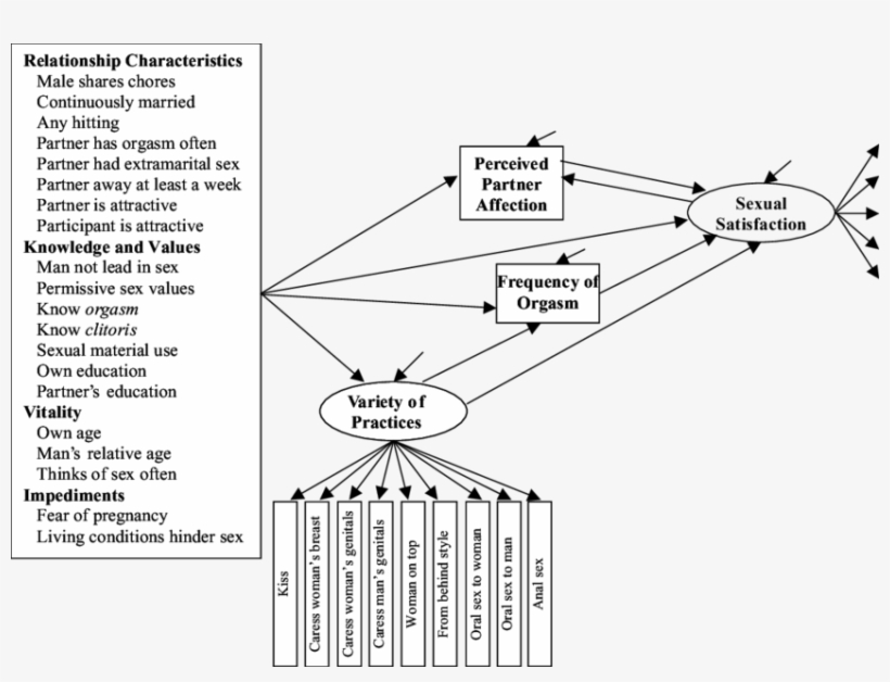 A Model Of Sexual Behavior And Sexual Satisfaction - Human Sexual Activity, transparent png download