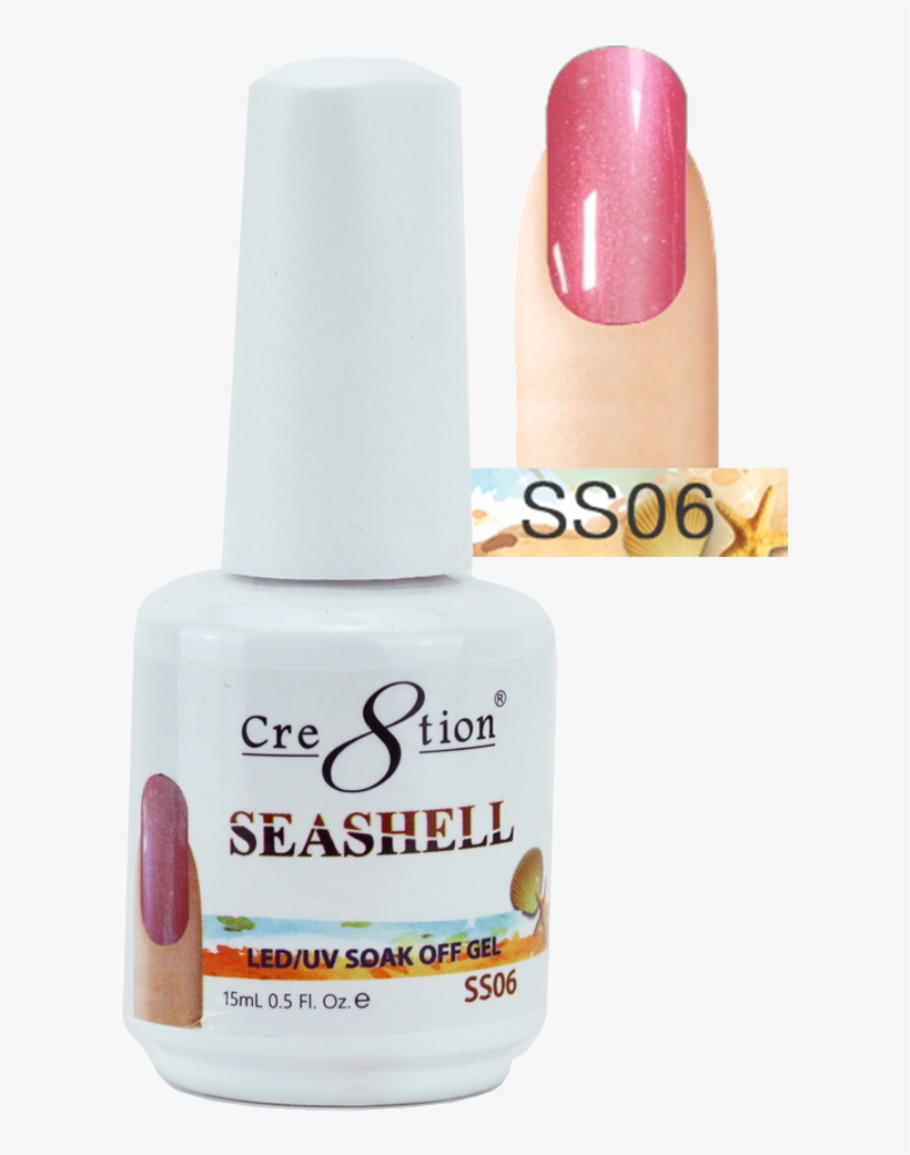 Seashell - Tarjetitas Para Regalos De Boda, transparent png download