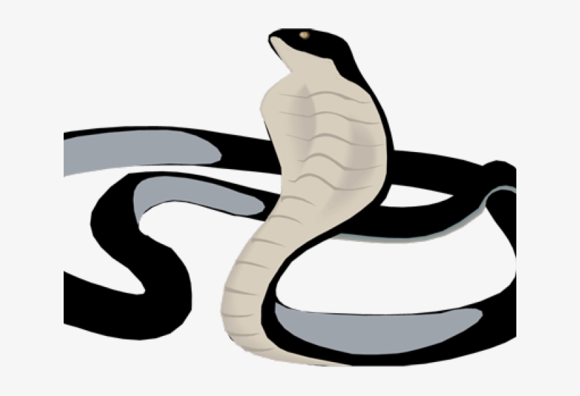 Serpent Clipart Black Mamba - Black Mamba, transparent png download