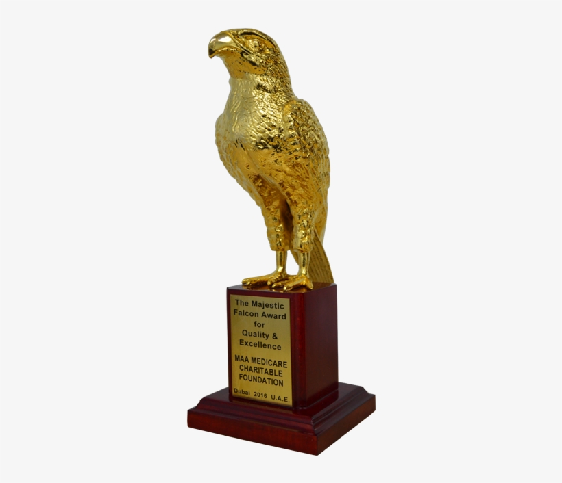 This Award Was Conferred To Us By Otherways' Organization - Cardiac Diagnostic Center, transparent png download