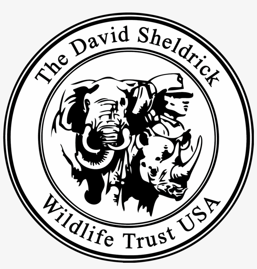 Dswtusa Logo Vector - David Sheldrick Wildlife Trust Logo Png, transparent png download