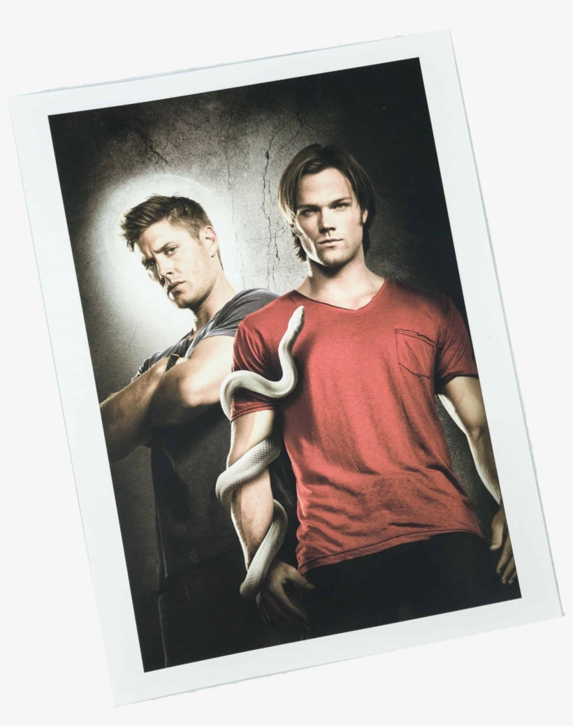 Load Image Into Gallery Viewer, Culturefly Supernatural - Supernatural - Official Companion Series 6 By Tim Waggoner, transparent png download