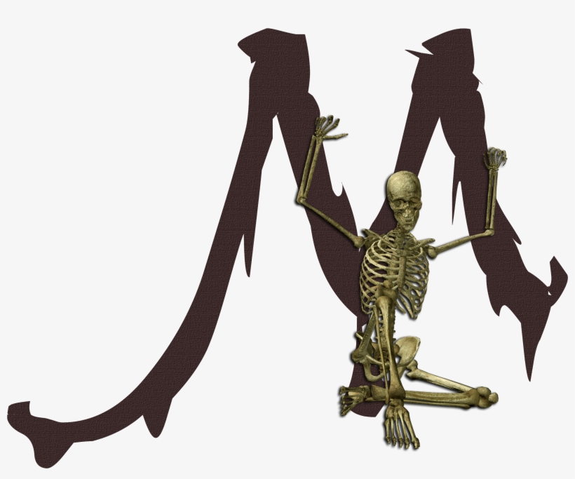 B *✿* Esqueleto Terrorifico - Bite Me Twilight Rectangle Magnet, transparent png download